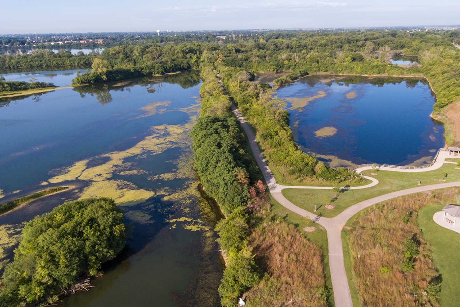 Lake Renwick Preserve
