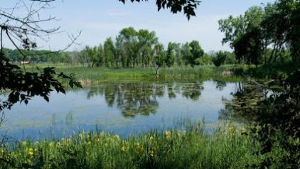 Romeoville Prairie Nature Preserve