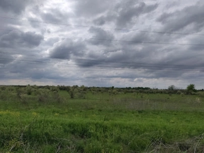 Lake Renwick Preserve