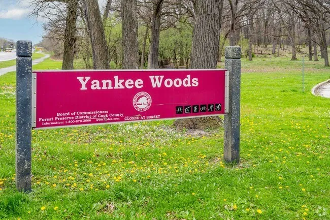 Yankee Woods Forest Preserve