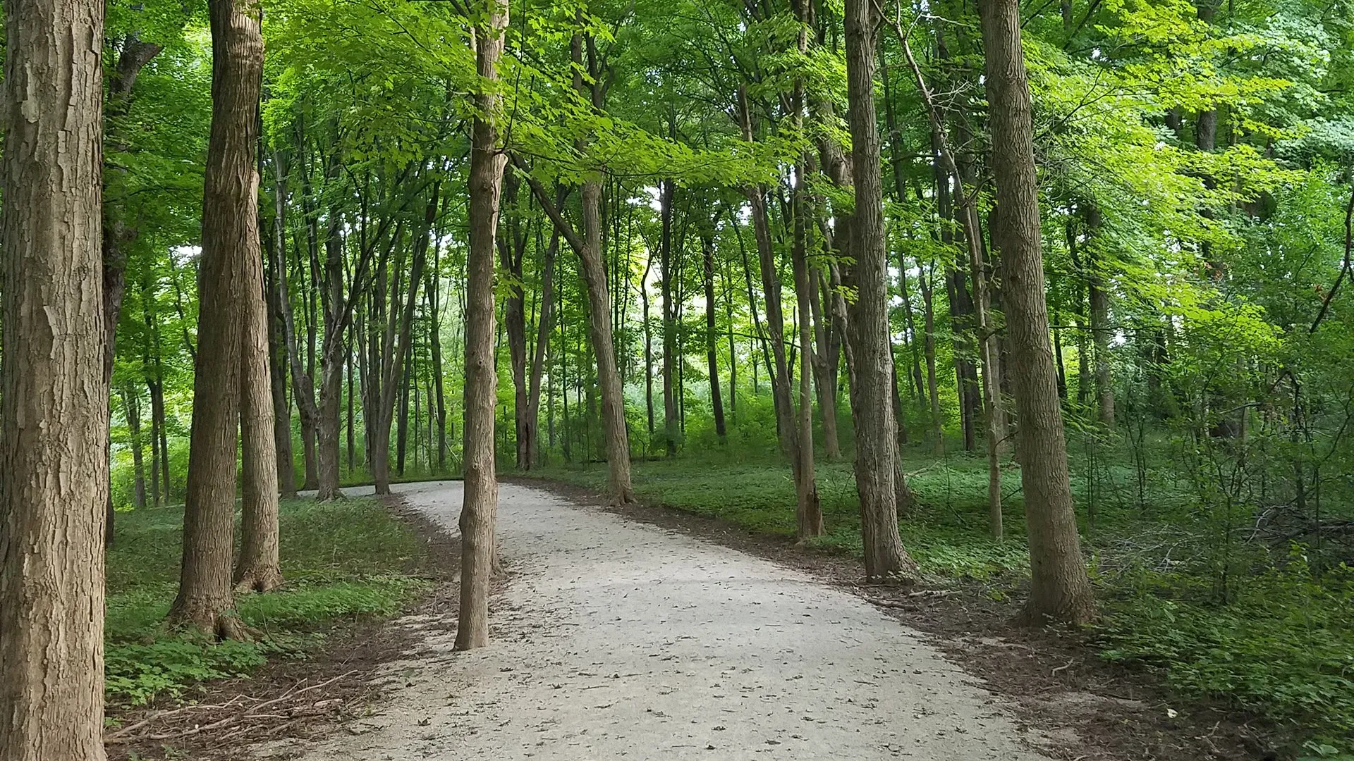Wheaton District Forest Preserve