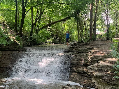 The Santcook Forest Preserve