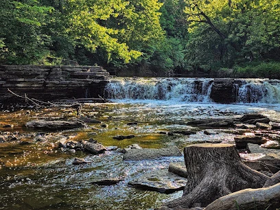 Waterfall Glen Forest Preserve